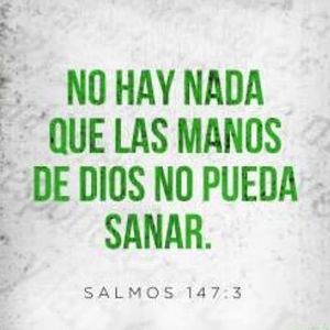 Meet your Posher, Miriam